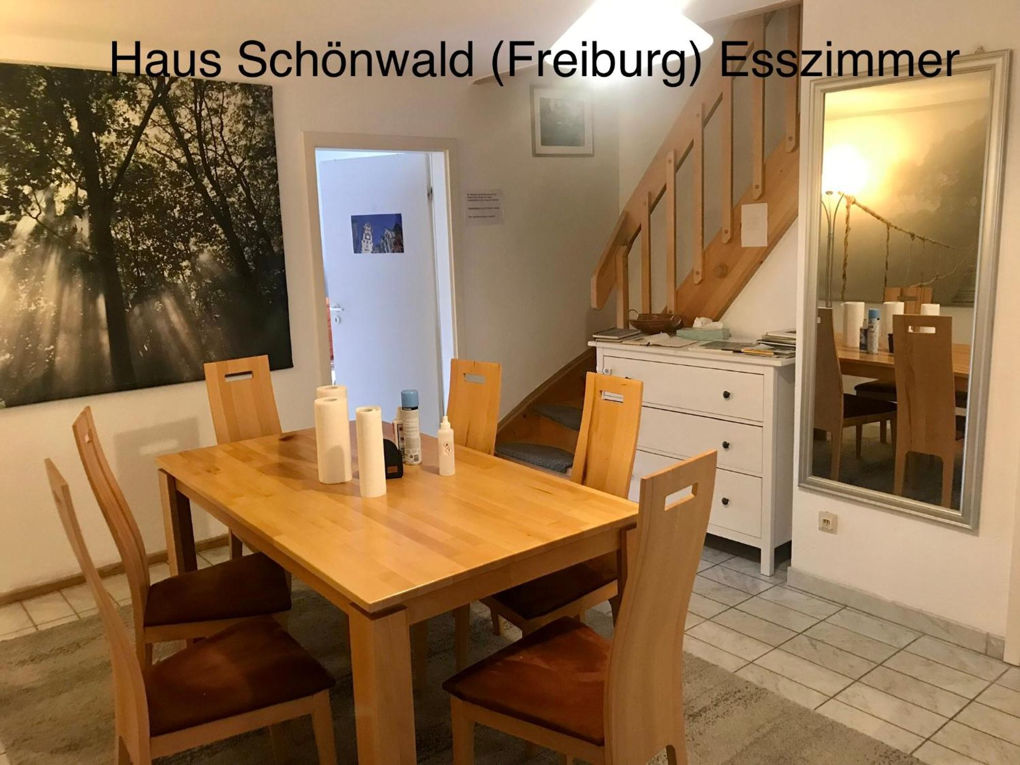 Haus Schoenwald Фрайбург-у-Брайсгау Екстер'єр фото